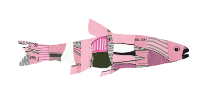 A pink fish.